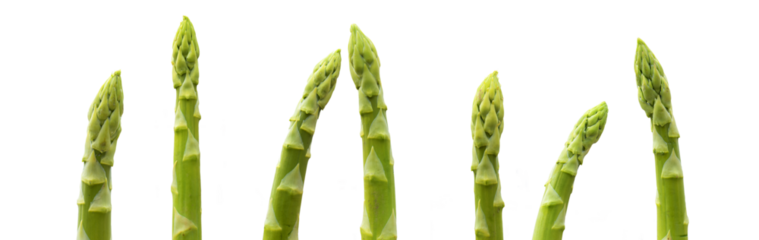Fresh green asparagus tips in a row isolated on transparent background. Concept for healthy nutrion. Horizontal close-up for saisonal gastronomie. PNG image.