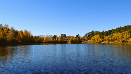 Autumn trees on the shore of a forest lake