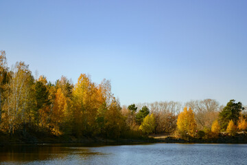 Autumn trees on the shore of a forest lake