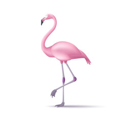 Naklejka premium 3d stylized flamingos standing and walking isolated for summer and tropical wildlife animal. Vector illustration.