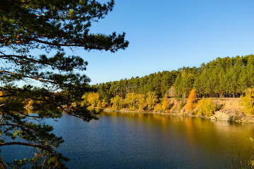 Bright yellow birches and green pines on the shore of a forest lake in autumn