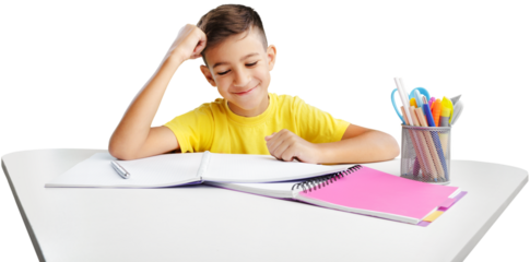 The child learning in school or home. Education concept