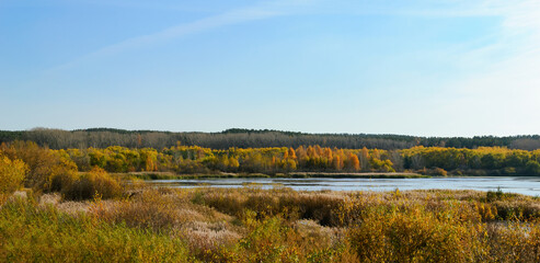 Autumn natural landscape with a river and reeds and a dense forest in the distance