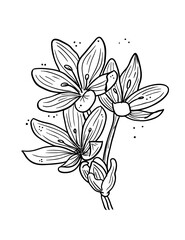 flower vector line art