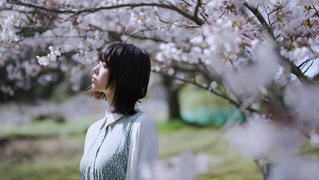 桜の木の下にいる女性