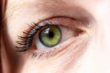 close up of a female eye