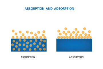 difference between adsorption and absorption on molecular surface.  Surface phenomena. Chemical Adsorption and Physical Adsorption. In  absorption particles enter bulk phase.  - obrazy, fototapety, plakaty
