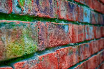 The moss that has grown on the bricks for so long has given them a green color and tint. A Wall made of brick is not red only now but is a mix of all different colors. 