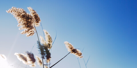 A blue sky with a few clouds