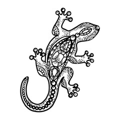 Lizard jewelry sketch PNG illustration with transparent background