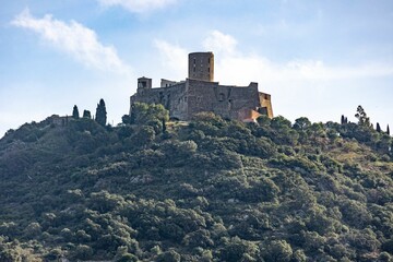 Fototapeta na wymiar Medieval castle on a forested hilltop in Collioure, France