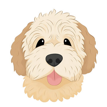 Goldendoodle Clipart Face, Cutout