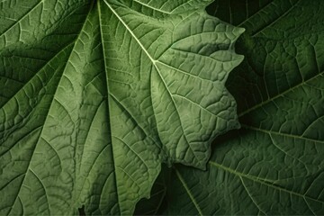 Naklejka na ściany i meble Ultra Realistic Green Leafy Maple Texture Fabric for High-Quality Designs