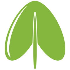 tropical leaf illustration