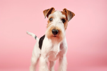 Fox terrier on the pink background. Generative AI.