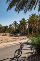 south part of Tunisia is full of suprises