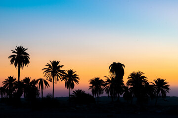 south part of Tunisia is full of suprises