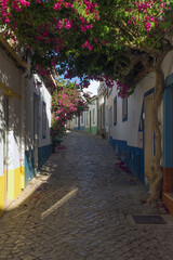 Fototapeta na wymiar Beautiful Luiz Antonio dos Santos street of the fishing village of Ferragudo at sunset with its typical white, blue and yellow facades of the houses and beautiful flowers, Algarve region, Portugal.