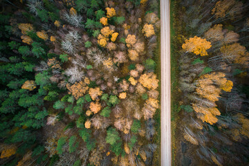 Aerial full frame view from drone of idyllic country road leading through gallant pine and birch forests in dark green colors in cloudy rainy weather 