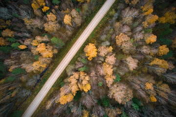 Aerial full frame view from drone of idyllic country road leading through gallant pine and birch forests in dark green colors in cloudy rainy weather 