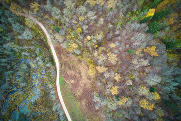 Aerial full frame view from drone of idyllic country road leading through gallant pine and birch forests in dark green colors in cloudy rainy weather 