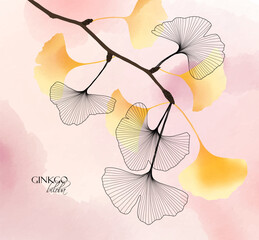1369_Ginkgo biloba branch with leaves, hand drawn watercolor texture - 589945911