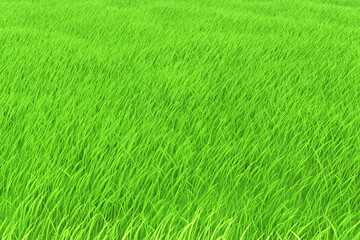 Grass field green meadow or lawn natural background texture with copy space. 3d rendered illustration. Spring or summer landscape environment design template. Sports field for football, soccer or golf