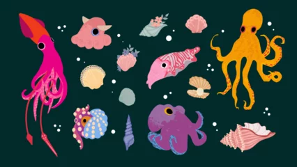 Fotobehang In de zee Octopus and shells vector, ocean invertebrates, marine animals, coral, squid or kraken, isolated on white