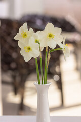 Bouquet of daffodils in the interior. White spring, summer home decoration, fresh bouquet of flowers.