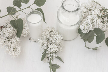 Milk and white lilac on a white background. Top view. Still life white lilac and a milk jug, a bottle of milk, a glass of milk. Concept of purity, freshness, naturalness.