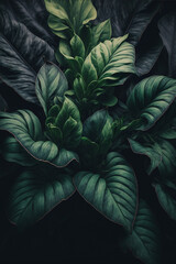 Fototapeta na wymiar Green tropical leaf texture pattern background, Generative AI