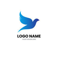 Dove logo design vector template with blue color isolated on white background