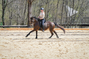 Reiterin / Reitpferd
