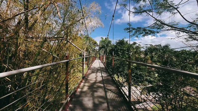 bridge in the forest, forest, walking, bridge, forest, path, nature, wood, tree, wooden, trees, landscape, park, stairs, steps, walkway, pathway, way, walk, mountain, trail, road, hiking, summer, ston