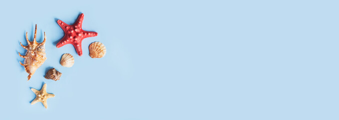 Composition with sea shell starfish on pastel blue minimal background. Summer frame, travel vacation pattern. Ocean shells isolated, marine set. Flat lay, top view, place for text, copy space, banner