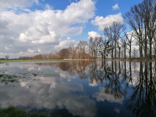 reflection on the water 