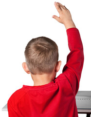 School Children Raising Hand in a Class