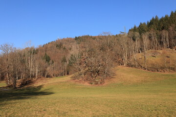 Blick auf die Naturlandschaft des Schwarzwaldes in der Nähe der Stadt Schönau