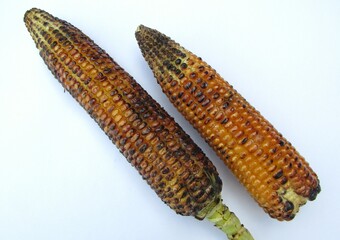 Roasted corn on white background 