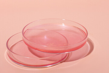 Liquid rose gold. Or a pink liquid with glitter. In Petri dishes. Laboratory research of cosmetics, gel, medicine. Chemistry