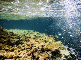 Bubbles under the sea in the crystal clear green sea water. Mediterranean bubbles. Real image very suitable for backgrounds, Rising Bubbles in Deep Underwater, Under with bubble. Great for background.