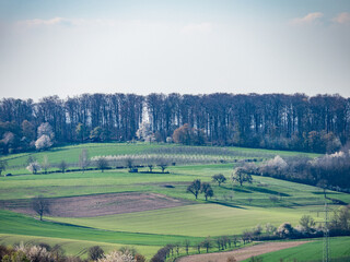 Agrarlandschaft im Frühjahr