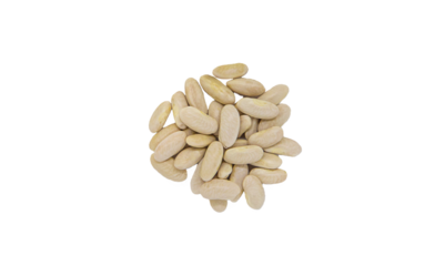 Seeds beans, seeds isolate on white background. Selective focus.