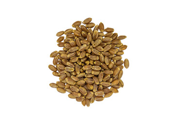 Seeds wheat isolate on white background. Selective focus.