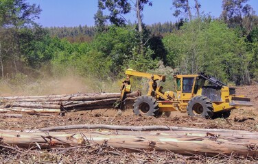 Fototapeta premium Logging Equipment Forest Machine
