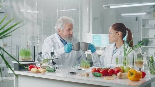 Elderly male scientist and female assistant drink tea from cups and relax. Research of genetically modified fruits, vegetables and green sprouts grown in the laboratory.
