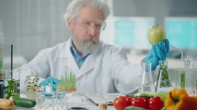 Elderly male researcher examines a sample of green apple and write data. Biotechnologist analyzes the quality of the sample. Biology experiment in a research biolab. Eco products, GMO