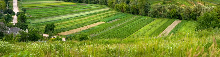 a view of farmland on the hills, gardens and allotments from a height