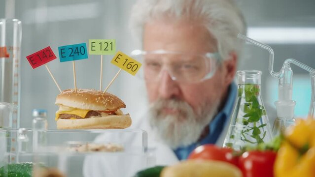 Elderly male researcher examines a sample of burger labeled E142, E240, E121 and E160. Biolog analyzes the quality of the sample. Close up.