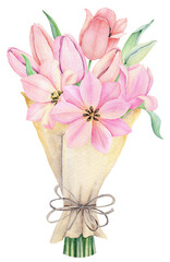 Watercolor pink tulips bouquet. Spring flowers in a wrapper